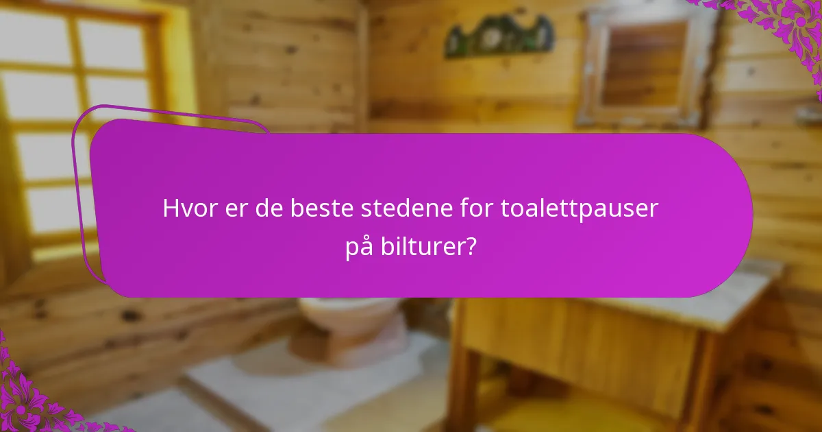 Hvor er de beste stedene for toalettpauser på bilturer?