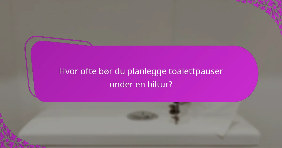 Hvor ofte bør du planlegge toalettpauser under en biltur?
